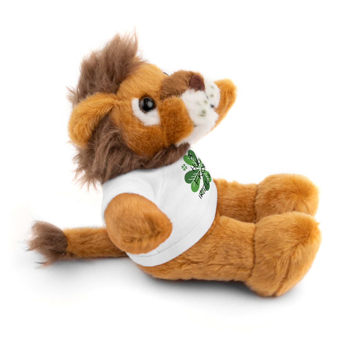 Irish Shamrock Teddy Bear with Tee
