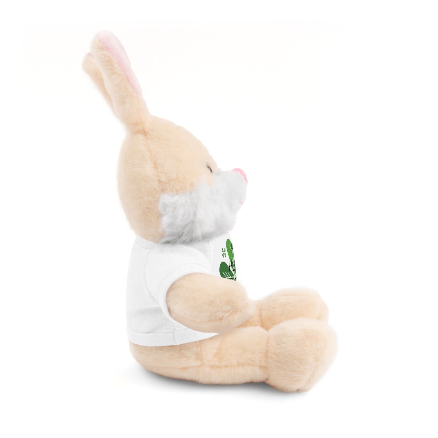 Irish Shamrock Teddy Bear with Tee
